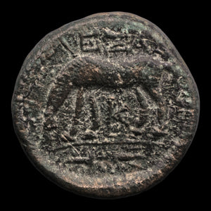 reverse