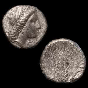 Metapontum, Greek Didrachm, Demeter & Barley - c. 330 to 280 BCE - Magna Graecia, Italy
