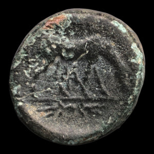 reverse