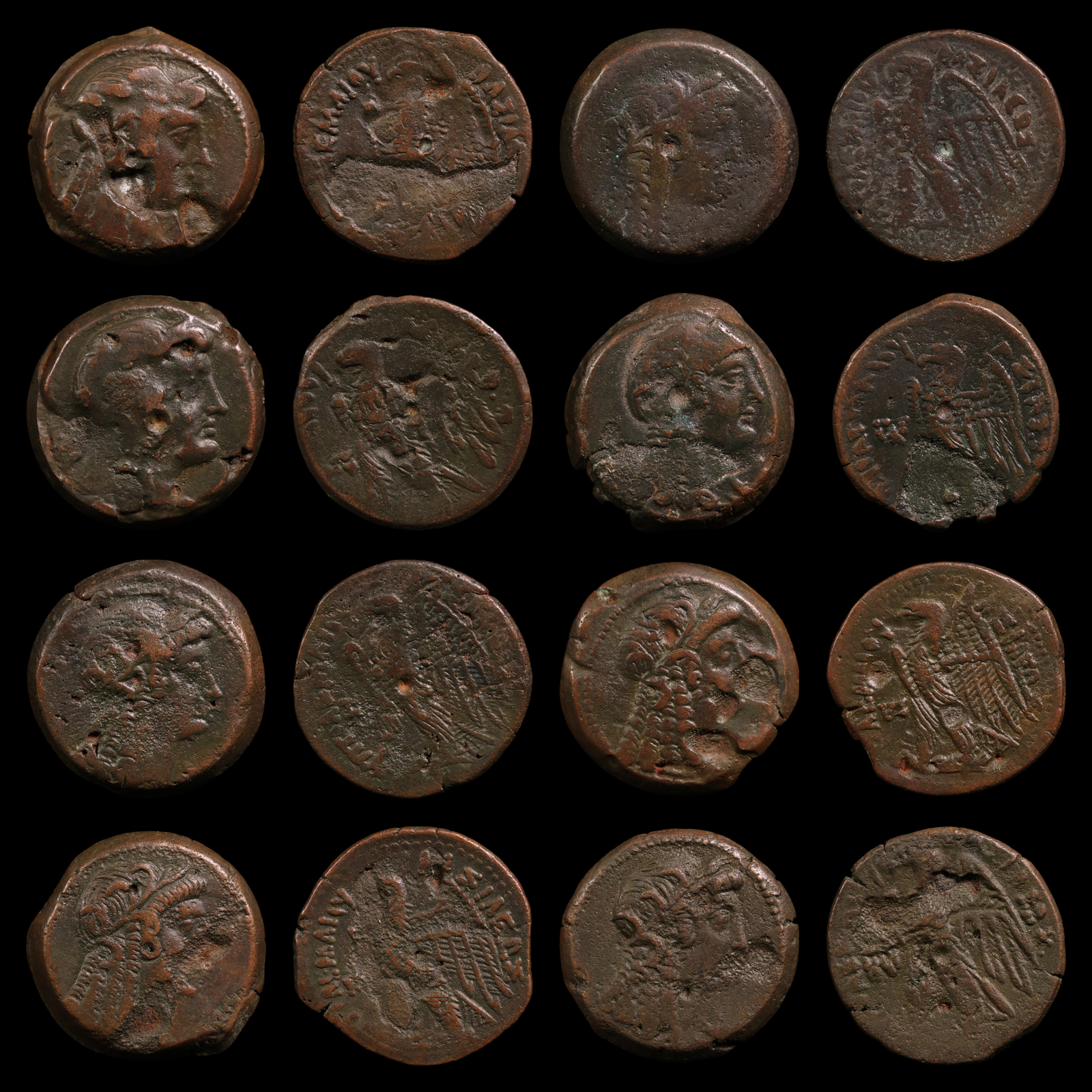 Ptolemaic Egypt, Ptolemy VI & Cleopatra I, Bronze Unit - 180 to 145 BCE - Ancient Egypt