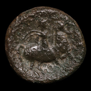 Thessaly, City of Pelinna, AE Unit, Mantho & Horseman - c. 306 to 197 BCE - Ancient Greece