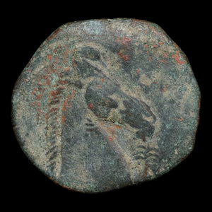 Zeugitana, City of Carthage, AE Unit, Tanit & Horse - 264 to 241 BCE - Ancient Carthage