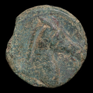 Zeugitana, City of Carthage, AE Unit, Tanit & Horse - c. 300 to 200 BCE - Ancient Carthage