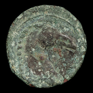 Zeugitana, City of Carthage, AE Unit, Tanit & Horse - c. 300 to 200 BCE - Ancient Carthage