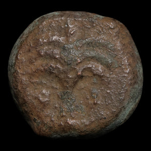 Zeugitana, City of Carthage, AE Unit, Palm & Horse - c. 325 to 275 BCE - Ancient Carthage