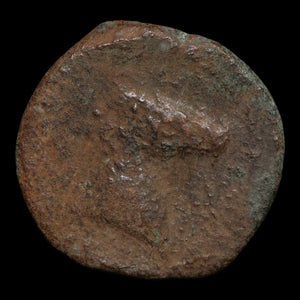 Zeugitana, City of Carthage, AE Unit, Palm & Horse - c. 325 to 275 BCE - Ancient Carthage