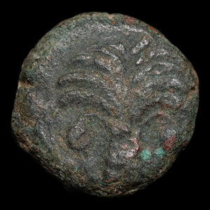 Zeugitana, City of Carthage, AE Unit, Palm & Horse - c. 325 to 275 BCE - Ancient Carthage