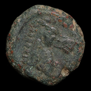 Zeugitana, City of Carthage, AE Unit, Palm & Horse - c. 325 to 275 BCE - Ancient Carthage