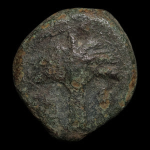 Zeugitana, City of Carthage, AE Unit, Palm & Horse - c. 325 to 275 BCE - Ancient Carthage