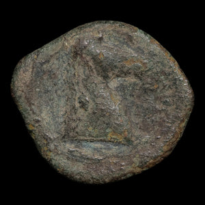 Zeugitana, City of Carthage, AE Unit, Palm & Horse - c. 325 to 275 BCE - Ancient Carthage