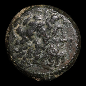 Ptolemaic Kingdom of Egypt, King Ptolemy III Euergetes, AE Hemiobol - 246 to 222 BCE - Ancient Egypt