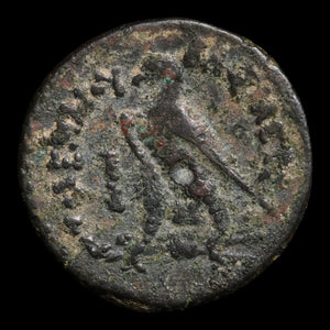 Ptolemaic Kingdom of Egypt, King Ptolemy III Euergetes, AE Hemiobol - 246 to 222 BCE - Ancient Egypt