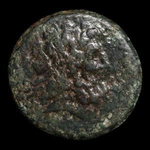 Ptolemaic Kingdom of Egypt, King Ptolemy III Euergetes, AE Hemiobol - 246 to 222 BCE - Ancient Egypt