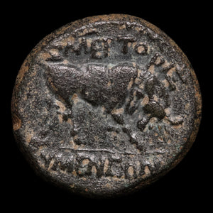 Phrygia, Tiberius (Second Emperor of Rome), AE Unit, Bull Reverse - 14 to 37 CE - Roman Provinces