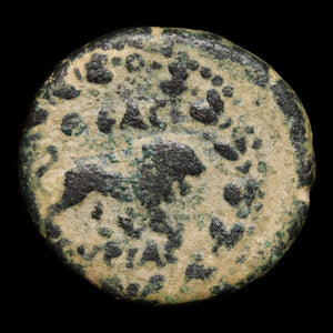 Syria, Emperor Commodus, AE Unit, Lion Reverse - 191 to 192 CE - Roman Provinces