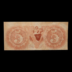 Canal Bank, New Orleans, Louisiana, $5 Banknote - c. 1850s - United States of America