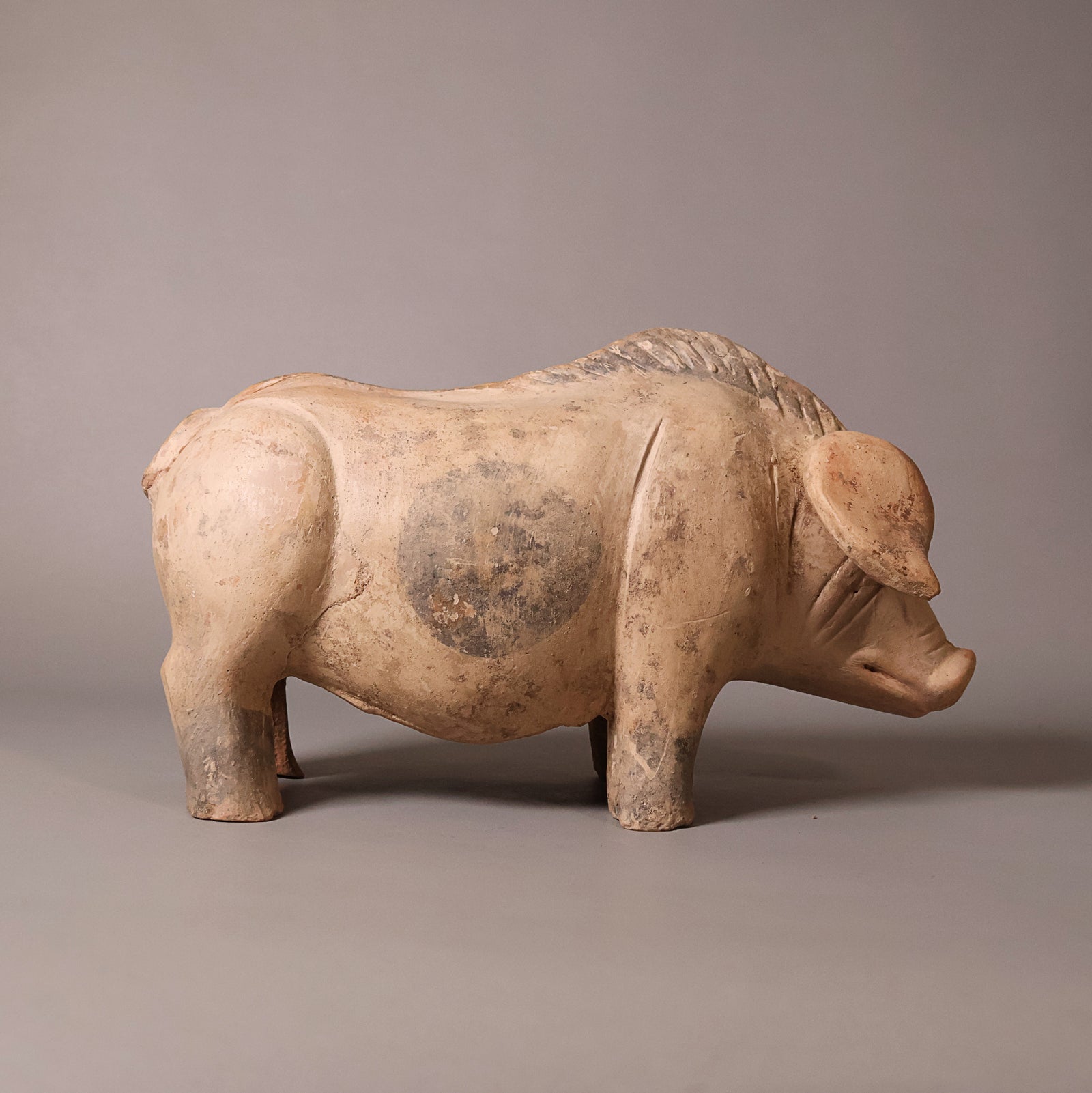 China, Han Dynasty, Molded Pottery Figure of a Boar - c. 25 to 220 CE - Ancient China