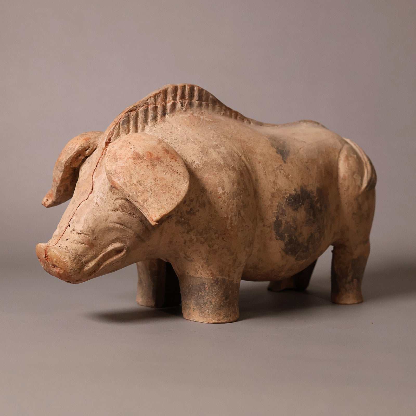China, Han Dynasty, Molded Pottery Figure of a Boar - c. 25 to 220 CE - Ancient China
