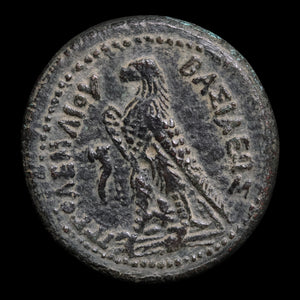 Ptolemaic Kingdom of Egypt, King Ptolemy III, Large AE Triobol - 246 to 222 BCE - Ancient Egypt