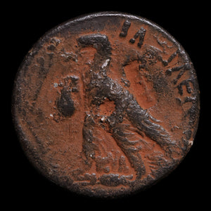 Ptolemaic Kingdom of Egypt, King Ptolemy VI, AE Trihemiobol - c. 180 to 168 BCE - Ancient Egypt