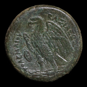 Ptolemaic Kingdom of Egypt, King Ptolemy II, AE Unit - 264 to 263 BCE - Ancient Egypt