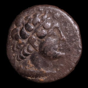 Ptolemaic Kingdom of Egypt, King Ptolemy VI, AR Didrachm - c. 180 to 145 BCE - Ancient Egypt