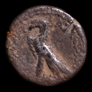 Ptolemaic Kingdom of Egypt, King Ptolemy VI, AR Didrachm - c. 180 to 145 BCE - Ancient Egypt