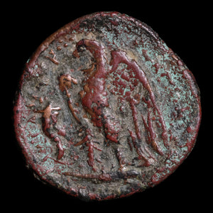 Ptolemaic Kingdom of Egypt, King Ptolemy II, AE Obol - 266 to 261 BCE - Ancient Egypt