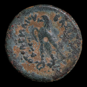 Ptolemaic Kingdom of Egypt, King Ptolemy III, AE Hemiobol - 246 to 222 BCE - Ancient Egypt