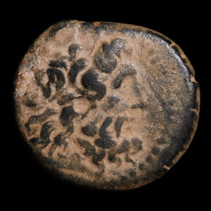 Ptolemaic Kingdom of Egypt, King Ptolemy III, AE Chalkous, Aphrodite (Goddess of Love) - 246 to 222 BCE - Ancient Egypt