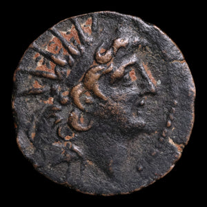 Seleucid Empire, King Antiochus VIII, AE Unit - 120 to 119 BCE - Greek World