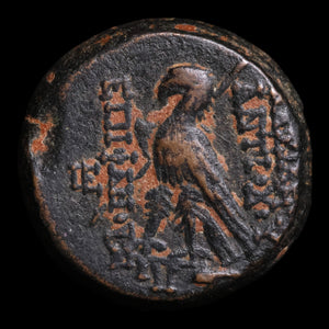 Seleucid Empire, King Antiochus VIII, AE Unit - 120 to 119 BCE - Greek World