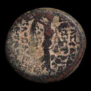 Seleucid Empire, King Demetrius III Eucaerus, AE Unit, Nike (Goddess of Victory) - 97 to 96 BCE - Greek World