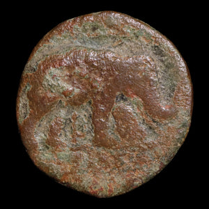 Seleucid Empire, King Antiochus III, AE Unit, Shield & Elephant - 202 to 195 BCE - Greek World