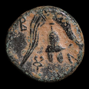 Kingdom of Macedon, Alexander the Great, AE Half-Unit - 323 to 315 BCE - Greek World