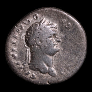 Rome, Emperor Domitian, AR Denarius, Pegasus Reverse - 76 to 77 CE - Roman Empire