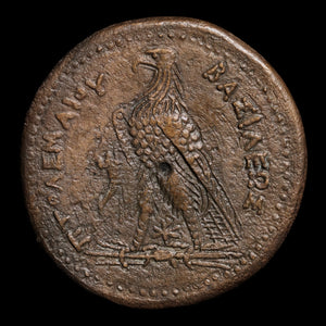 Ptolemaic Kingdom of Egypt, King Ptolemy III Euergetes, AE Drachm - 246 to 222 BCE - Ancient Egypt