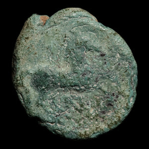 Thrace, City of Maroneia, AE Unit, Horse & Grapes - c. 400 to 350 BCE - Ancient Greece