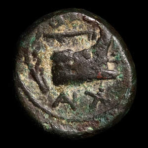 Kingdom of Macedon, Demetrios I Poliorketes, AE Unit - 306 to 283 BCE - Greek World
