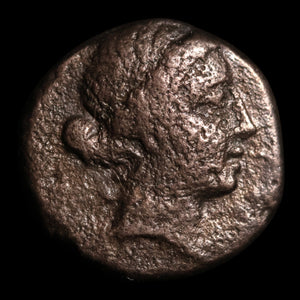 Aeolis, City of Kyme, AE Unit, Amazon Kyme & Horse - 250 to 190 BCE - Greek World