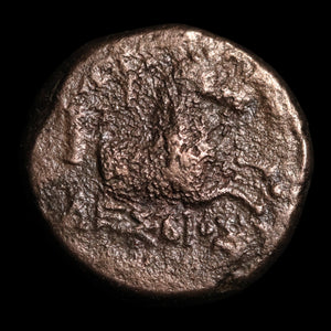 Aeolis, City of Kyme, AE Unit, Amazon Kyme & Horse - 250 to 190 BCE - Greek World