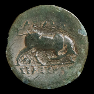 Seleucid Empire, King Seleucus I, AE Unit, Medusa & Bull - 296 to 281 BCE - Greek World