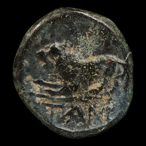 Aeolis, City of Temnos, AE Unit, Helmeted Male Head & Lion - c. 300 to 200 BCE - Greek World