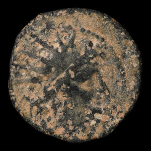 Seleucid Empire, King Antiochus VIII, AE Unit - 121 to 110 BCE - Greek World