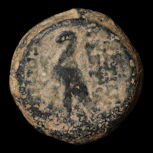 Seleucid Empire, King Antiochus VIII, AE Unit - 121 to 110 BCE - Greek World