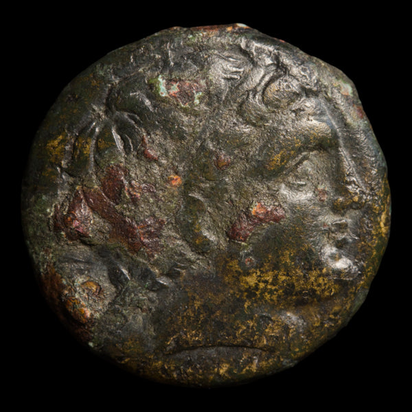 Macedon, Philip III (Brother of Alexander the Great), Bronze, Apollo ...