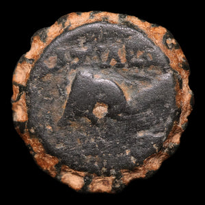 Seleucid Empire, King Demetrius I Soter, AE Unit, Horse & Elephant - 162 to 150 BCE - Greek World