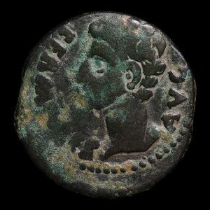 Hispania, Emperor Augustus (First Roman Emperor), AE Unit, Colonia Patricia - 31 BCE to 14 CE - Roman Provinces