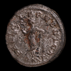 Rome, Emperor Carinus, AR Antoninianus, Felicitas (Divine Productivity) - 283 to 285 CE - Roman Empire