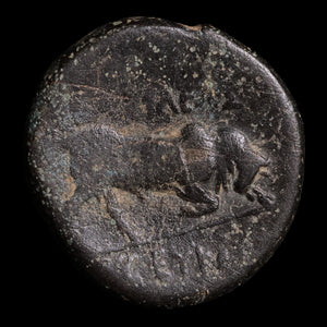 Seleucid Empire, King Seleucus I Nicator, AE Unit - 300 to 281 BCE - Greek World